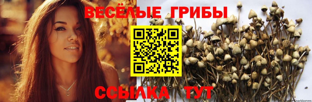 даркнет сайт  Вход с VPN  Кемерово  Галлюциногенные грибы прущие грибы 