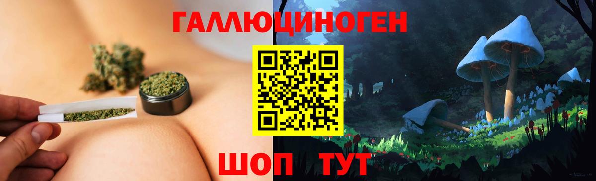 Псилоцибиновые грибы мицелий Кемерово